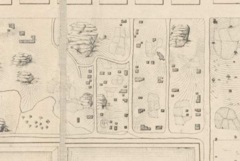 Detail of Seneca Village from above Viele map.