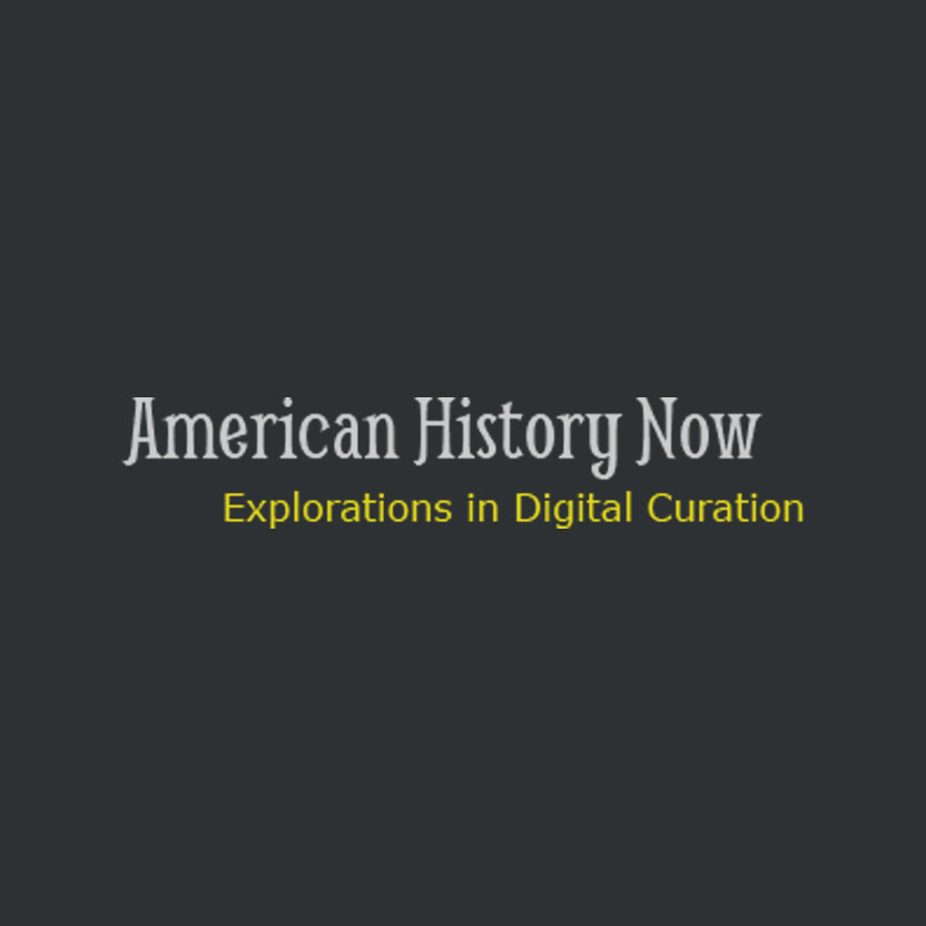 Logo of the American History Now website.