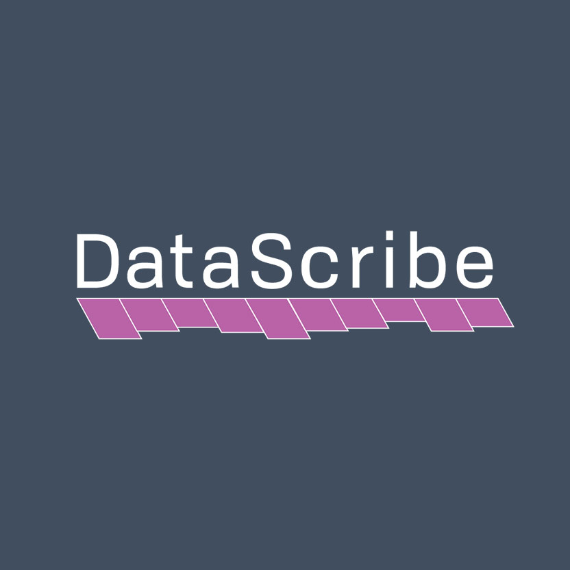 Logo for DataScribe website.